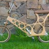 hoopy wooden bike